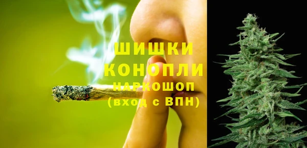 прущие грибы Михайловск