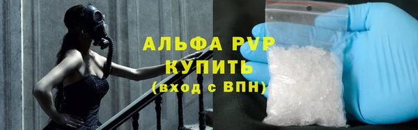 прущие грибы Михайловск