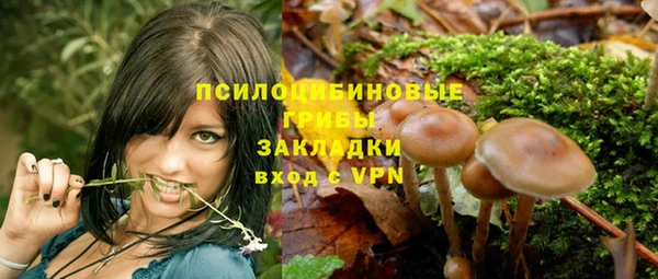 прущие грибы Михайловск