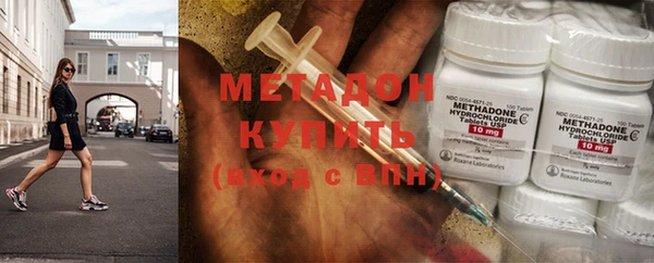 прущие грибы Михайловск