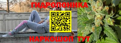 гидропоника Будённовск