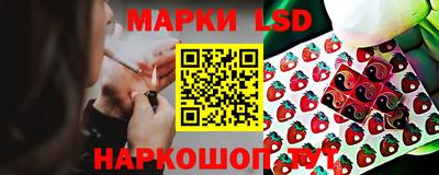 гидропоника Будённовск