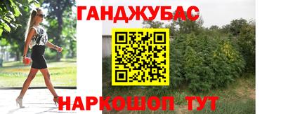 гидропоника Будённовск