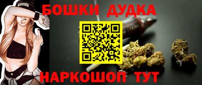 гидропоника Будённовск