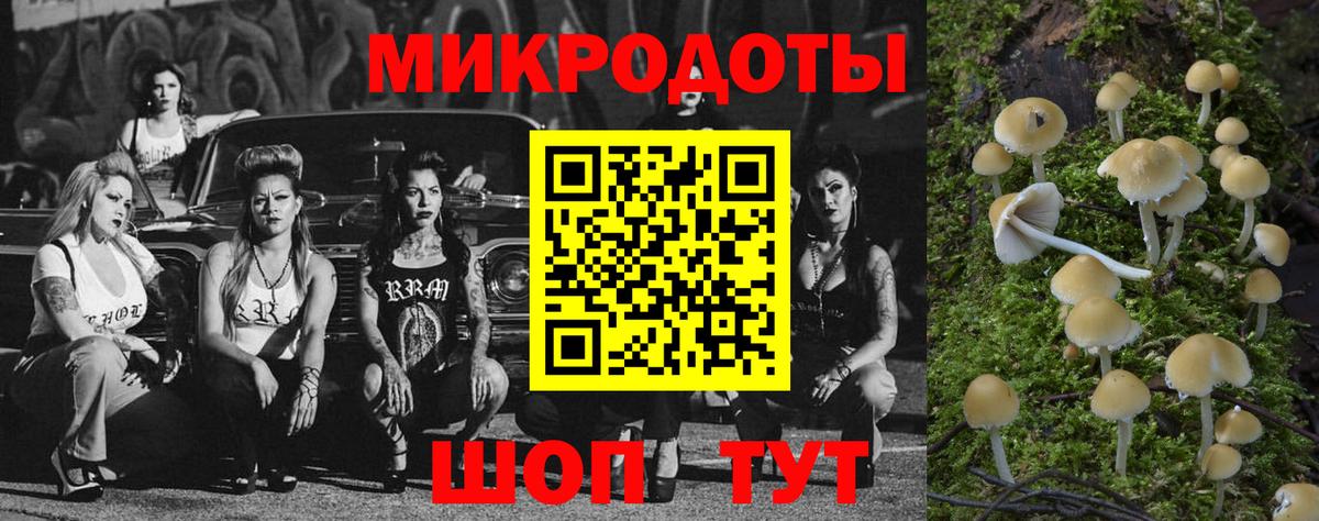Псилоцибиновые грибы мухоморы  Вход с VPN  Кореновск 
